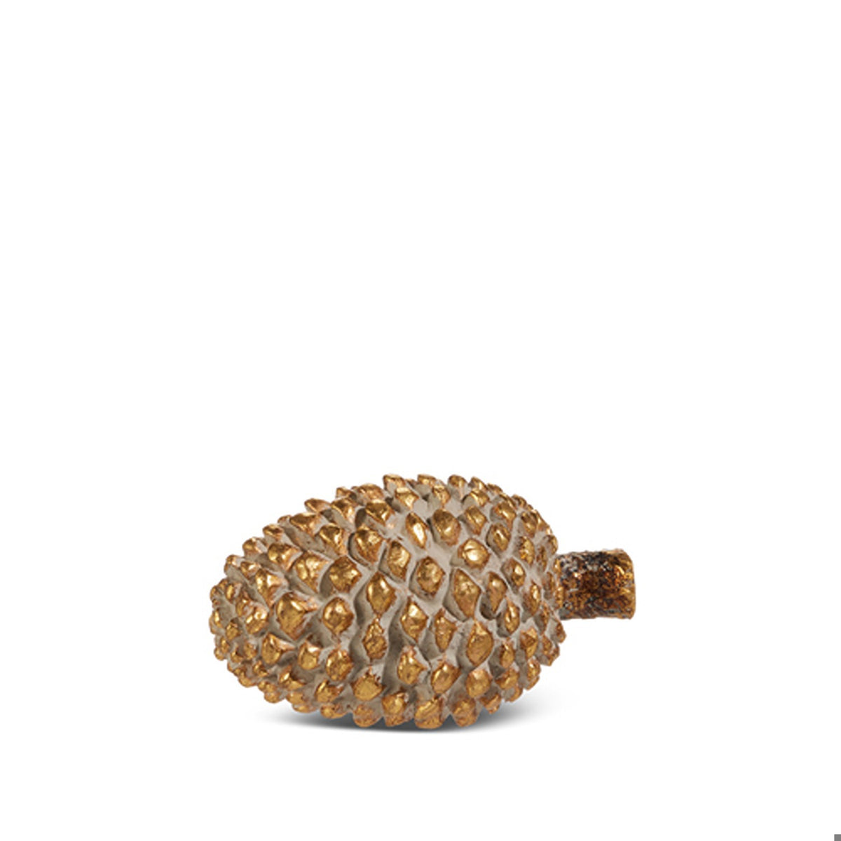 5.5 Gilded Pinecone