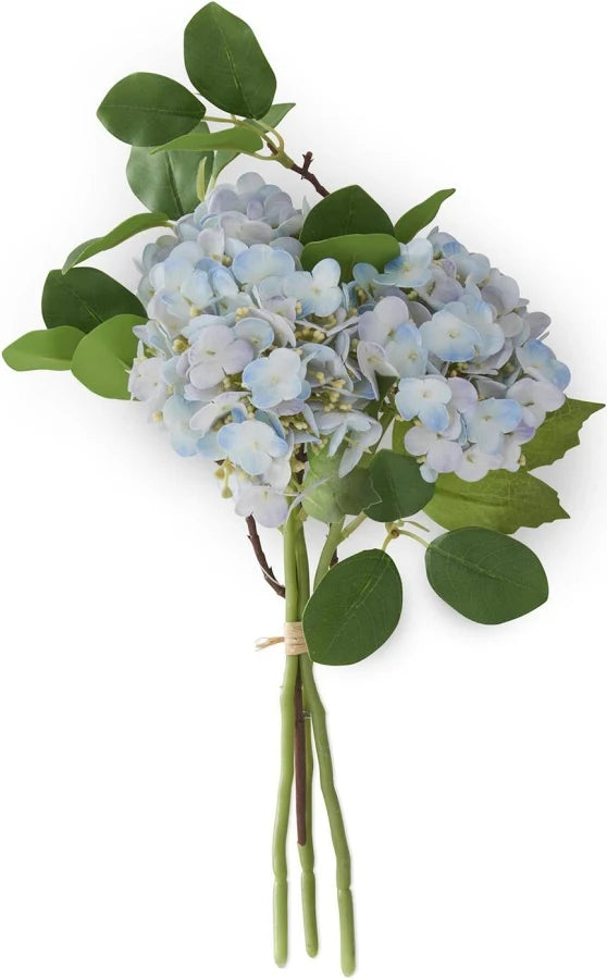 Blue Hydrangea