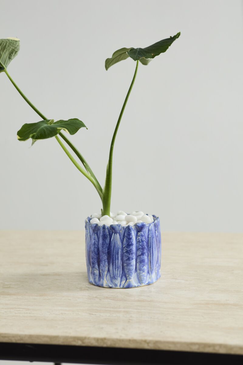 Amalfi Pot