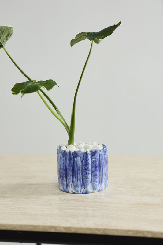 Amalfi Pot