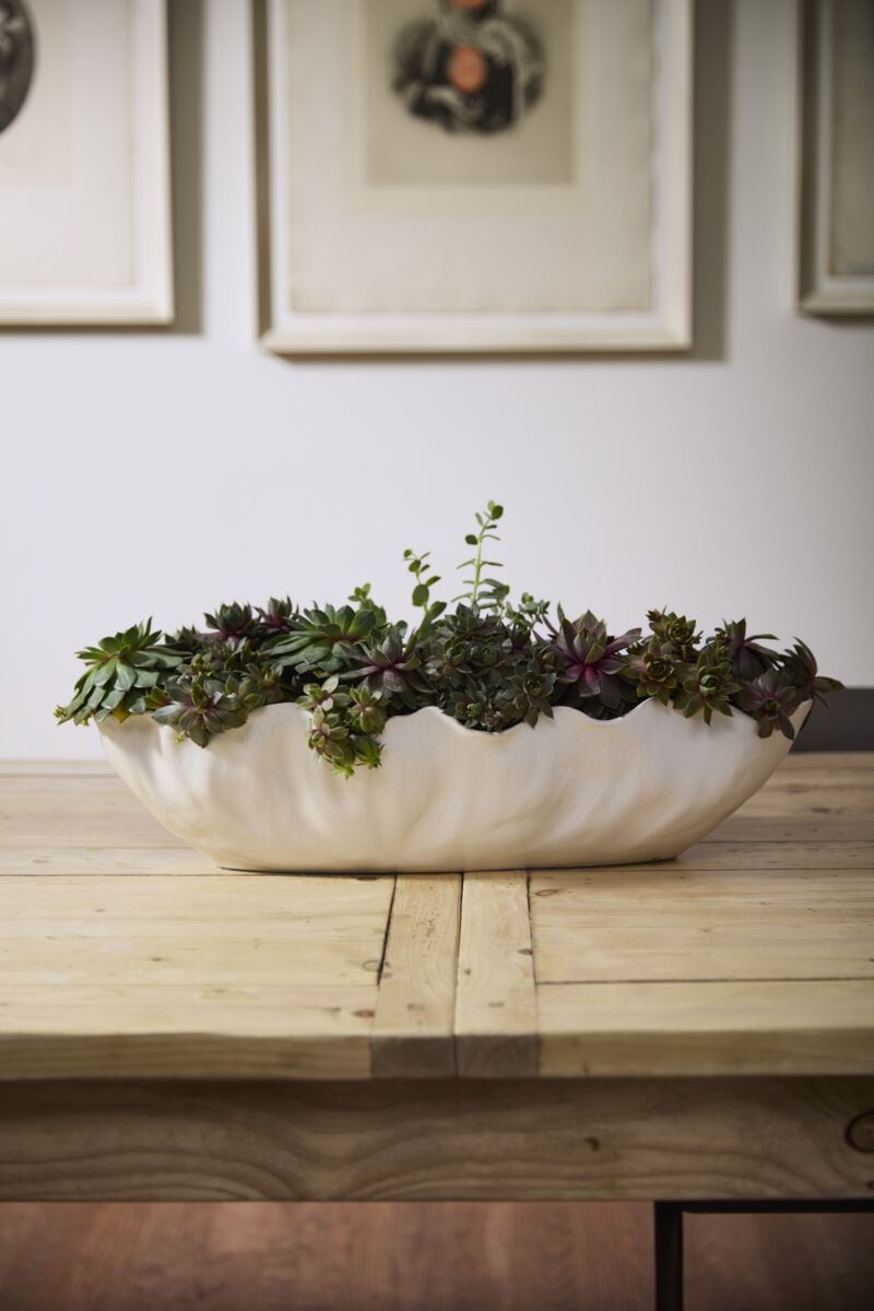 Coastline Trough – AHD&Co
