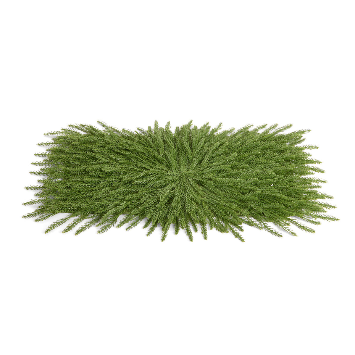 30.5 Cedar Placemat